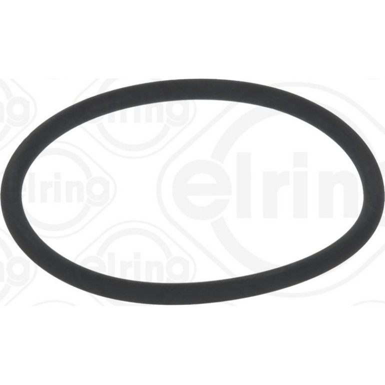 Dichtring 789.970 Dichtring 789.970