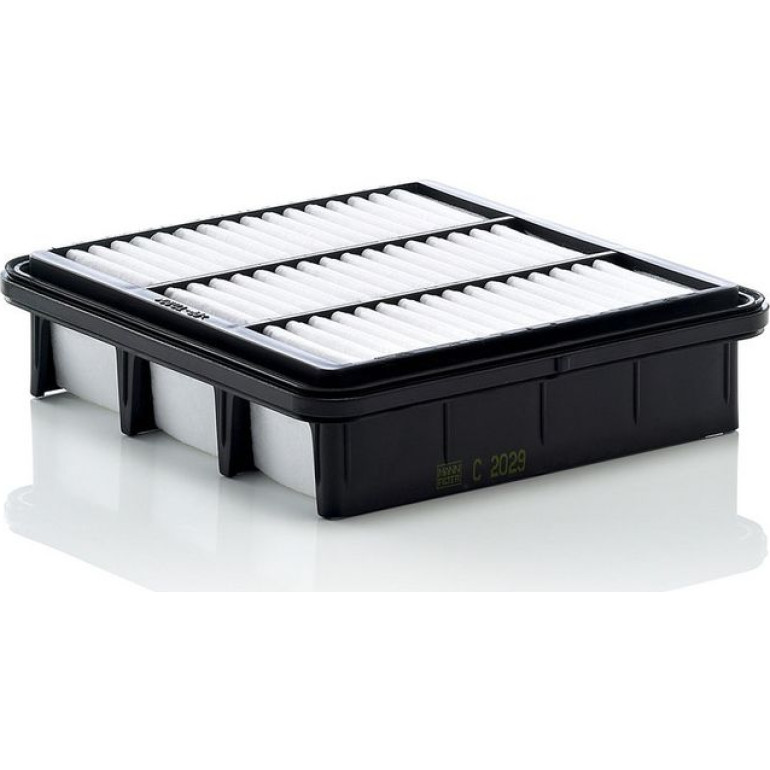 MANN-FILTER C 2029 Luftfilter