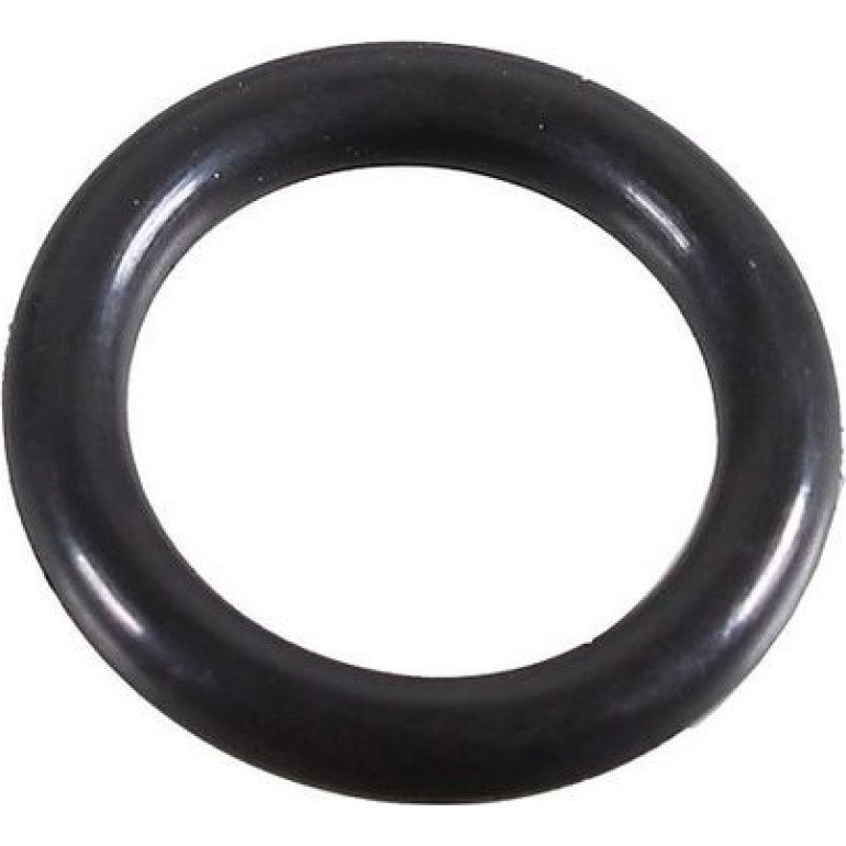 Dichtring 2430069 Dichtring 2430069
