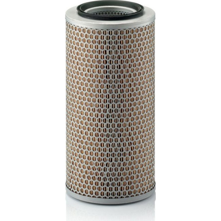 MANN-FILTER C 17 250 Sekundärluftfilter