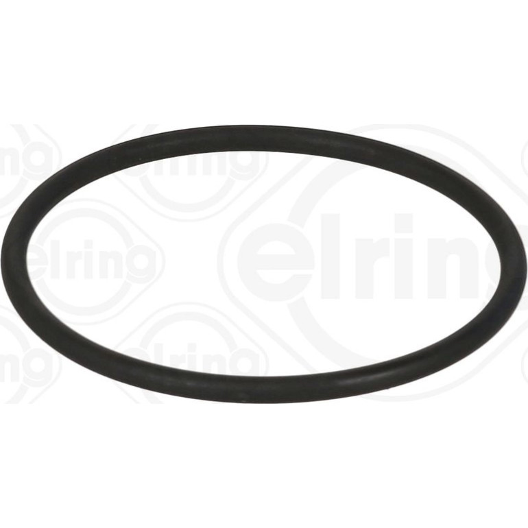 Dichtring 538.010