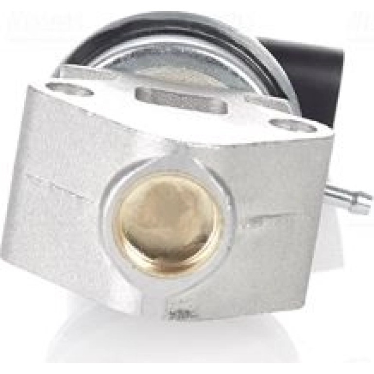 AGR-Ventil 98179