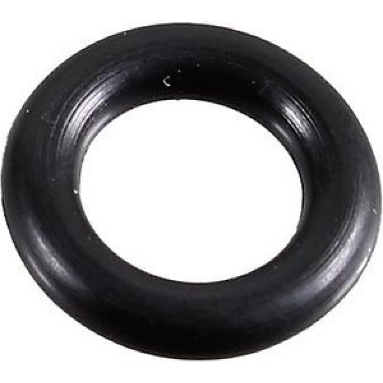 Dichtring 2430079