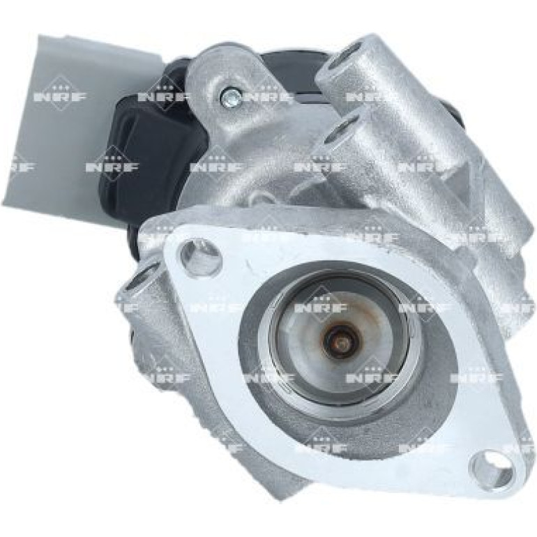 AGR-Ventil 48714