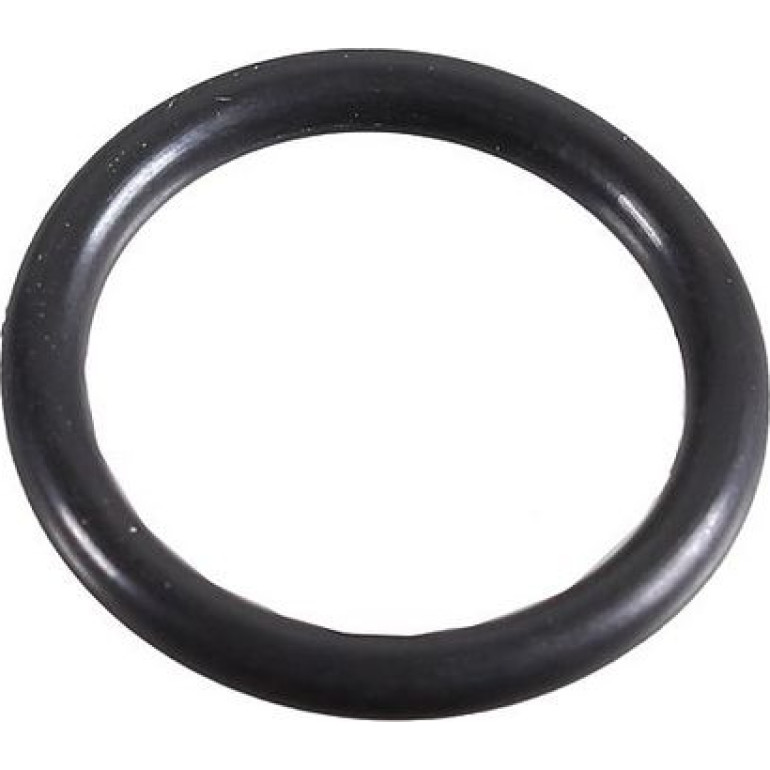 Dichtring 2430041