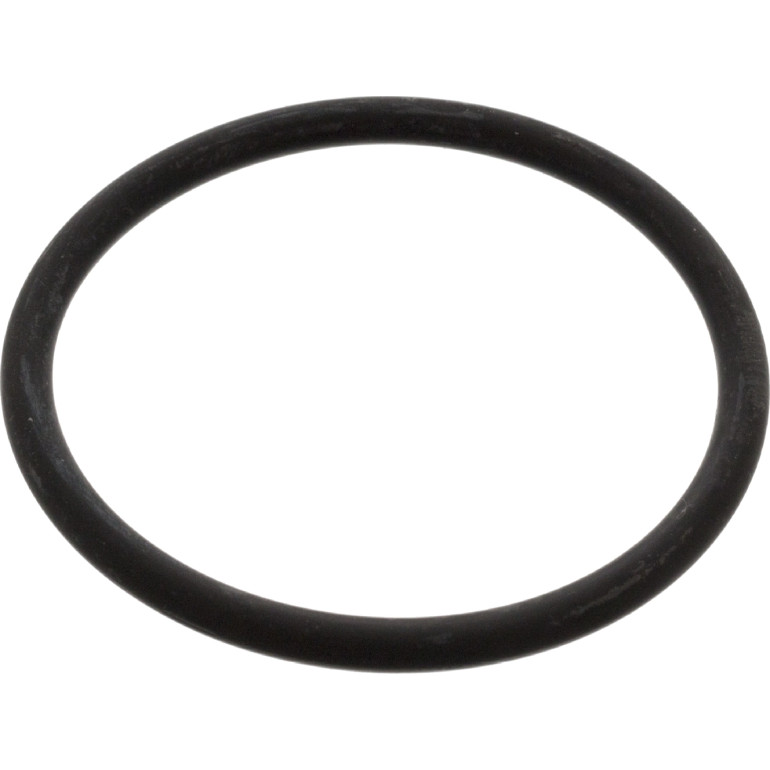 FEBI BILSTEIN 17966 Dichtung, Thermostat FEBI BILSTEIN 17966 Dichtung, Thermostat