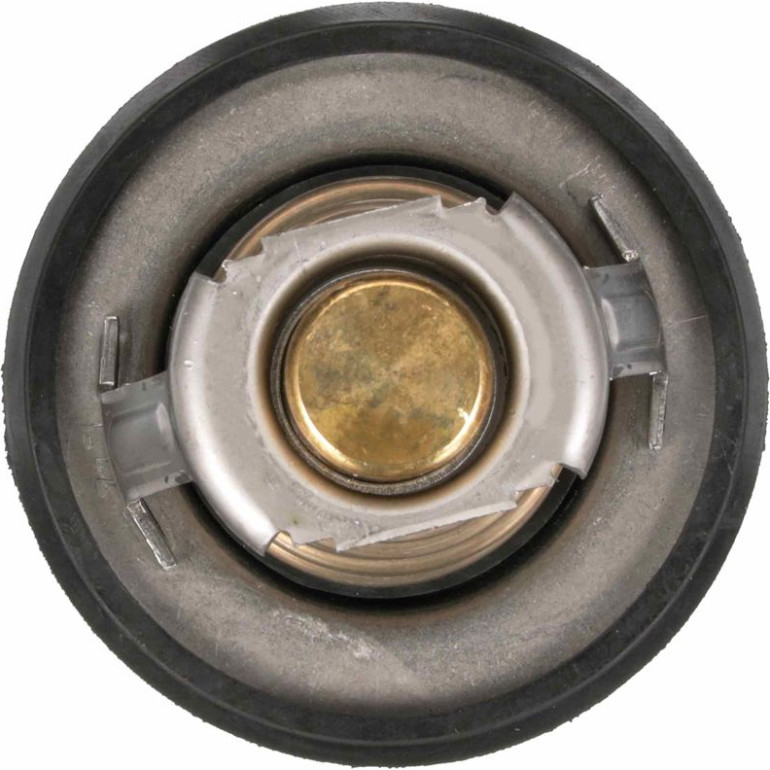 Thermostat, Kühlmittel TH64978G1