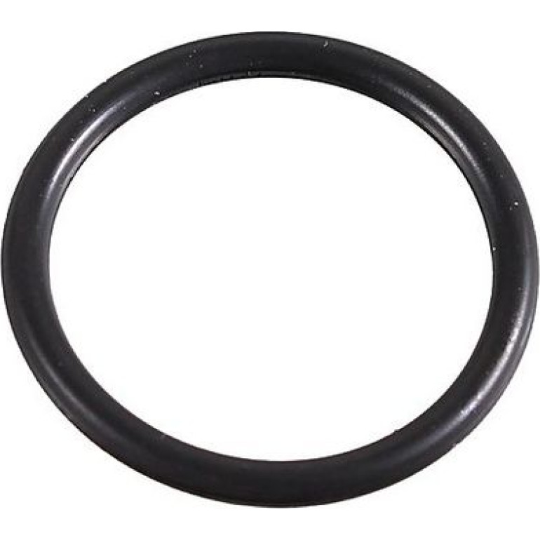 Dichtring, Lader 2430066 Dichtring, Lader 2430066