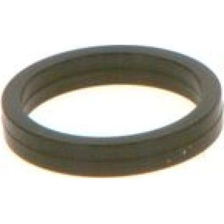 Dichtring F 00V C38 100 Dichtring F 00V C38 100