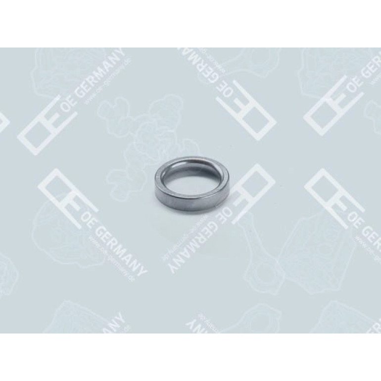 12x Ventilsitzring für MAN D0834 LF01/02/06 D0834