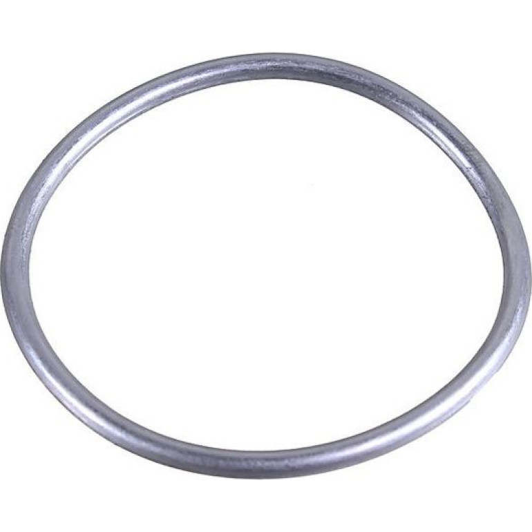 Dichtring 2430020 Dichtring 2430020