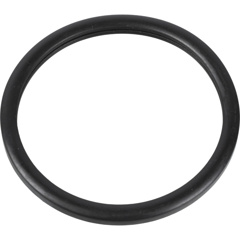FEBI BILSTEIN 10255 Dichtung, Thermostat