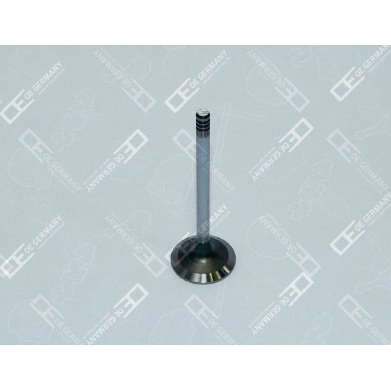 6x Einlassventil für Deutz BFM 2012 TCD 4L 2012 2V TCD 6L 2012 2V TD 420 VE TAD 6x Einlassventil für Deutz BFM 2012 TCD 4L 2012 2V TCD 6L 2012 2V TD 420 VE TAD