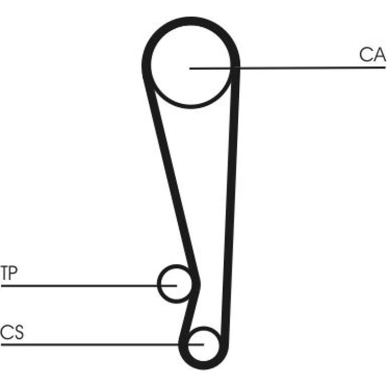 Zahnriemen CT1024