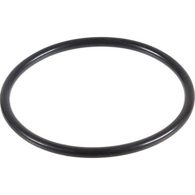 Dichtring 2430006 Dichtring 2430006