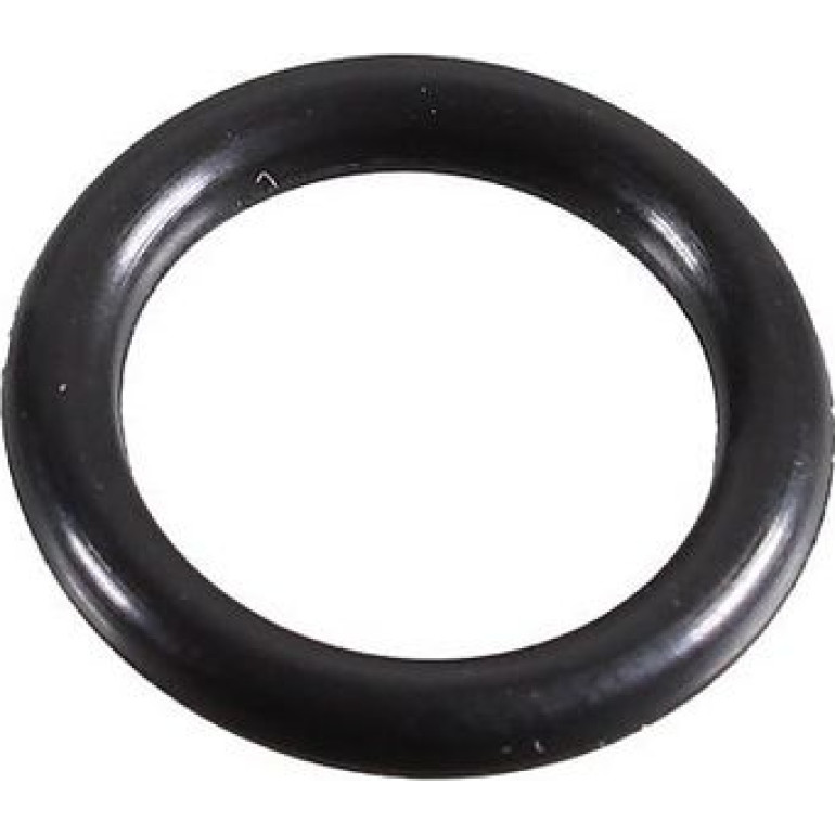 Dichtring 2430131