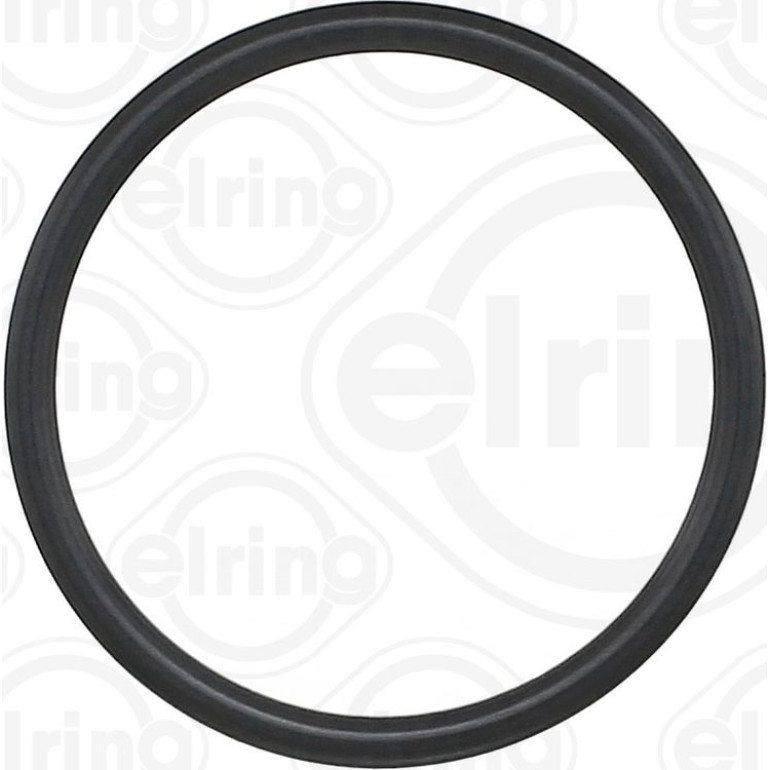 Dichtring 581.860 Dichtring 581.860