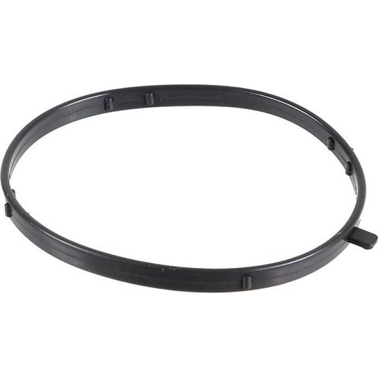 Dichtring 2430080