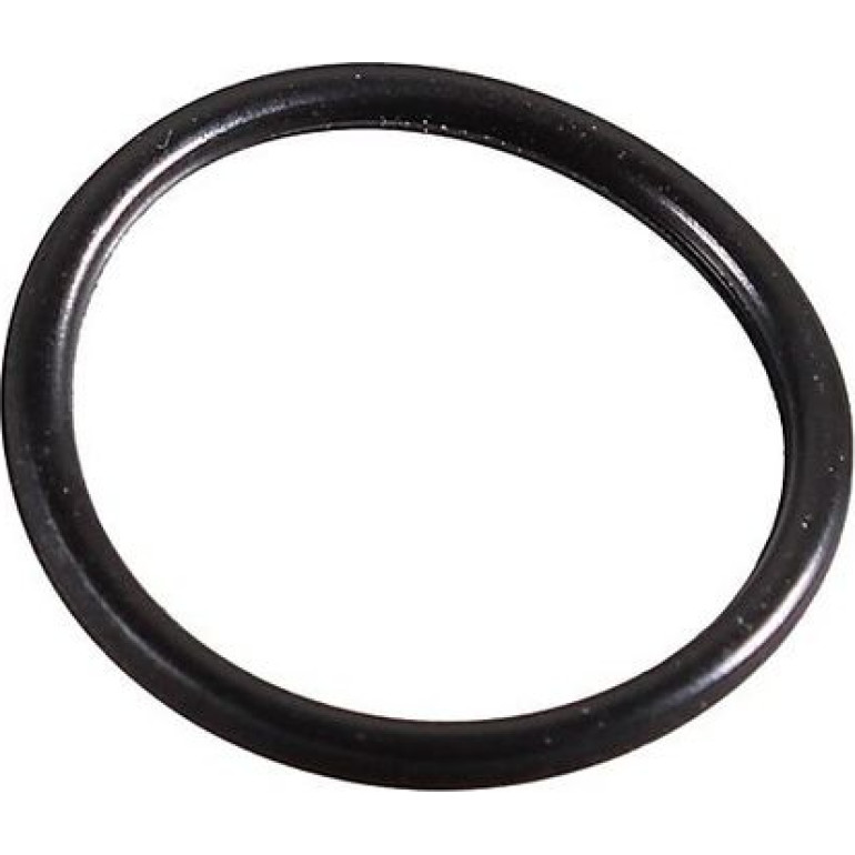 Dichtring 2430095