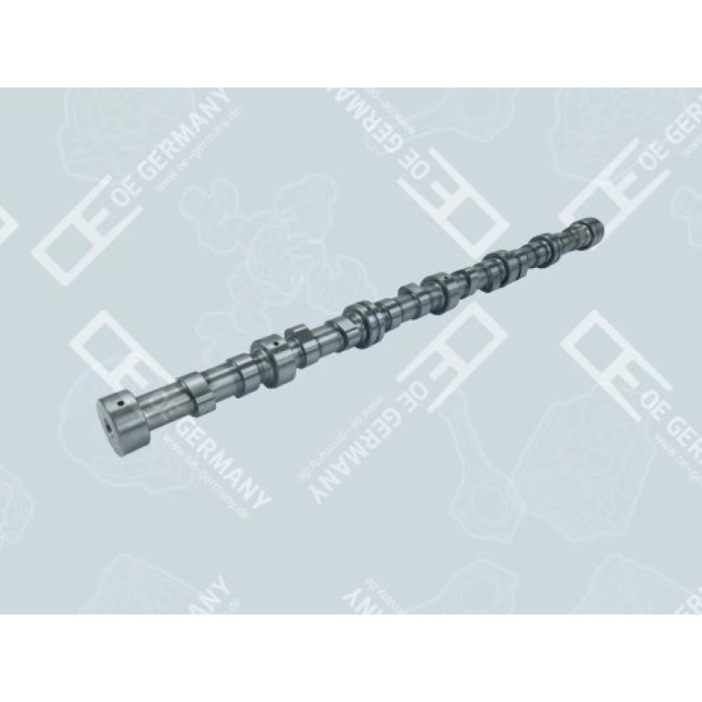 Nockenwelle für DAF XE390C XE390C1 XF280M XF315M XF355M 1 615 597 OEGERMANY Nockenwelle für DAF XE390C XE390C1 XF280M XF315M XF355M 1 615 597 OEGERMANY