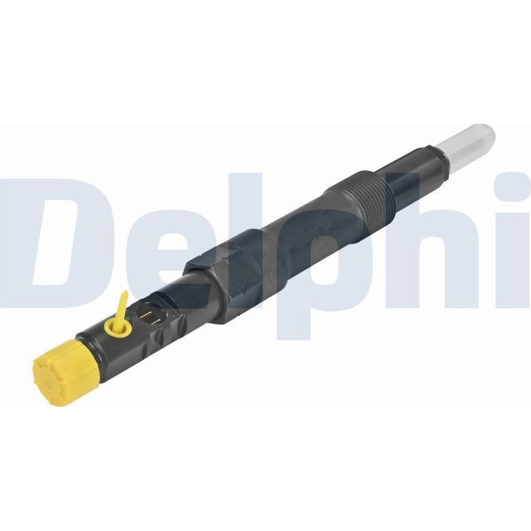Einspritzventil R01101D Einspritzventil R01101D