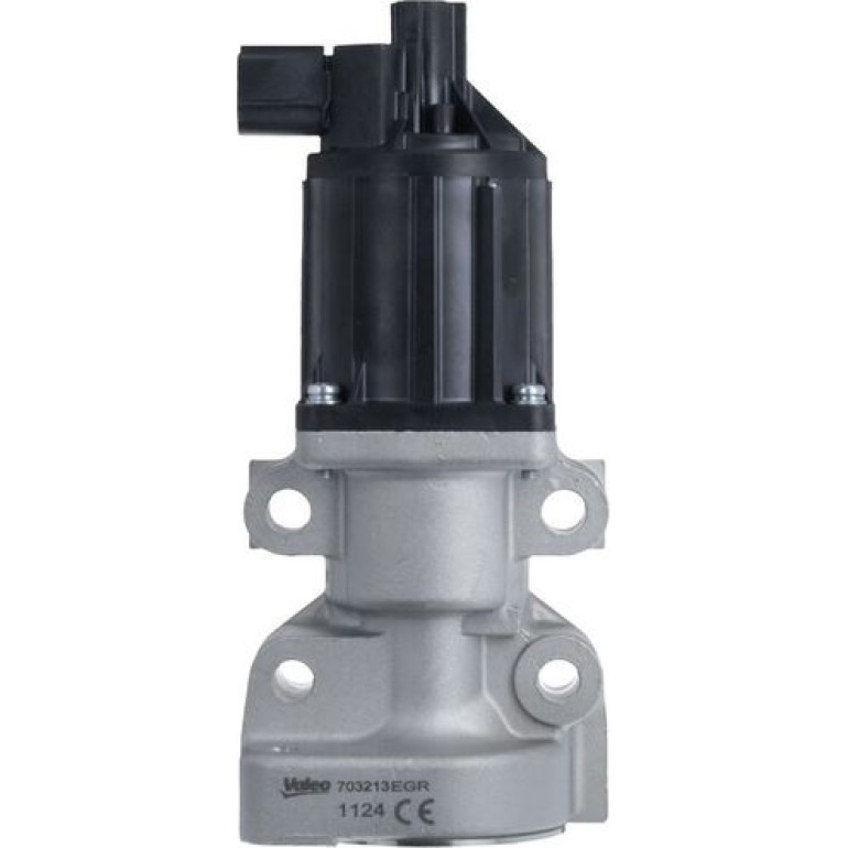 AGR-Ventil 703213 AGR-Ventil 703213