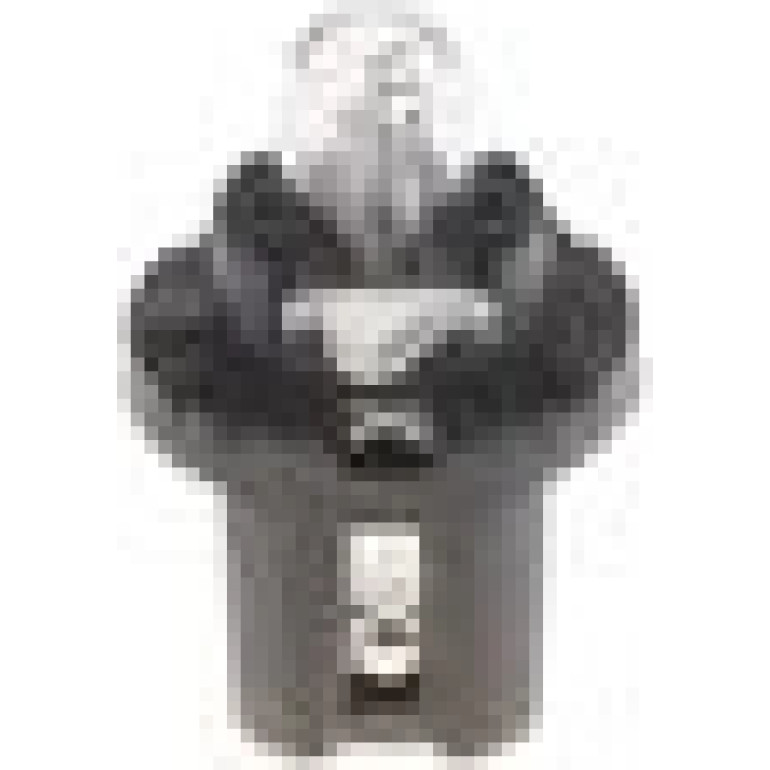 Glühlampe 1 987 302 219 Glühlampe 1 987 302 219