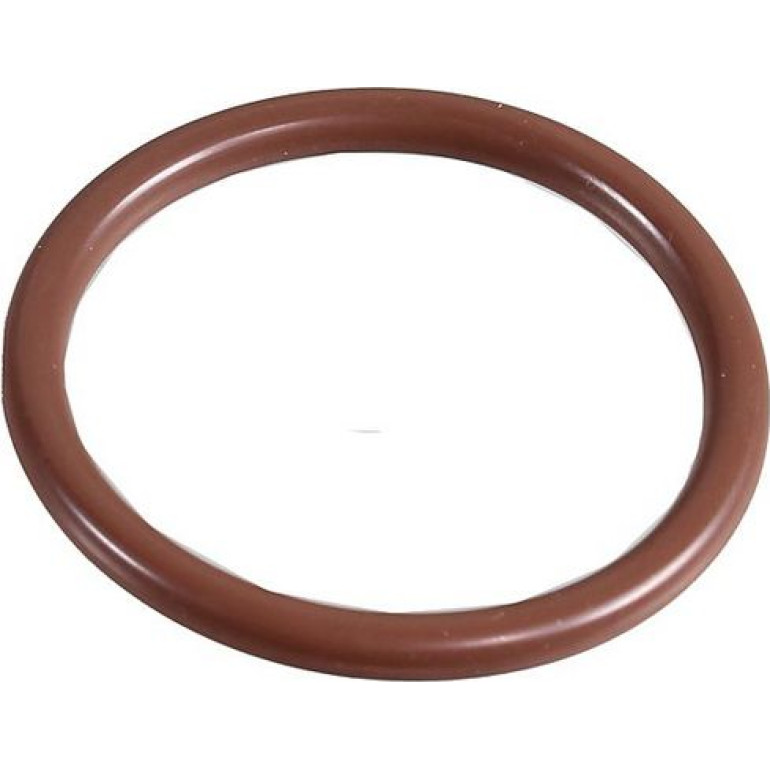 Dichtring 2430089 Dichtring 2430089