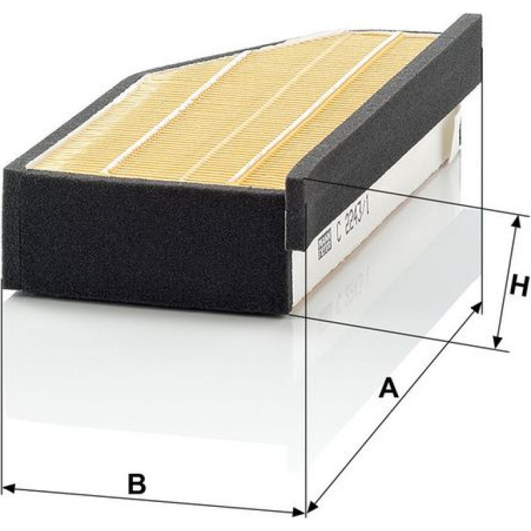 MANN-FILTER C 2243/1 Luftfilter