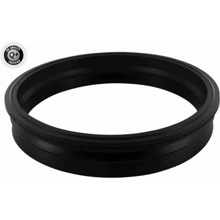 Kraftstoff-Fördereinheit V24-09-0005