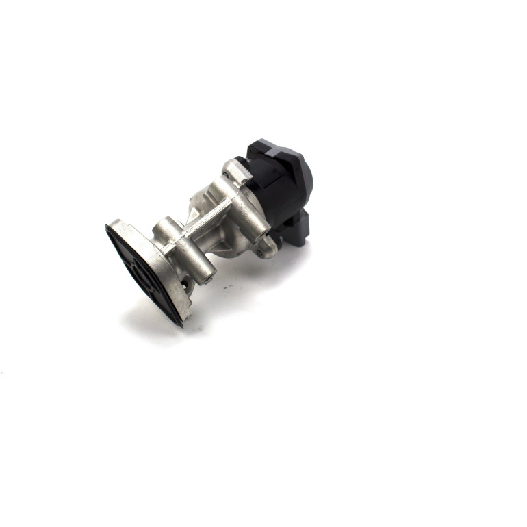 AGR-Ventil 700411