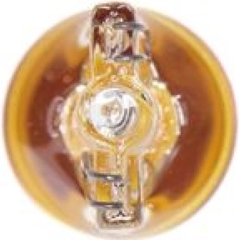 Glühlampe, Blinkleuchte 1 987 302 241 Glühlampe, Blinkleuchte 1 987 302 241