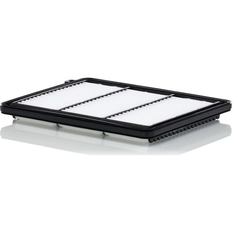 Luftfilter C 25 051