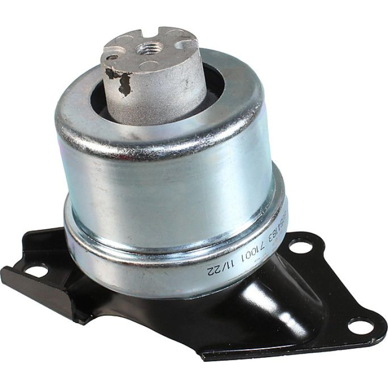 Lagerung, Motor 8054183