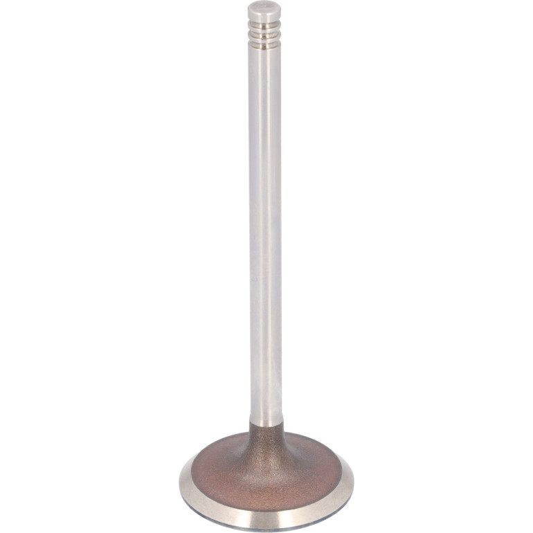 FEBI BILSTEIN 183492 Einlassventil