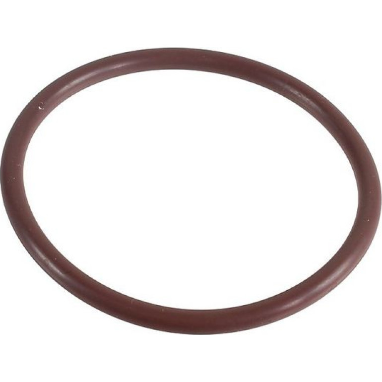 Dichtring 2430043