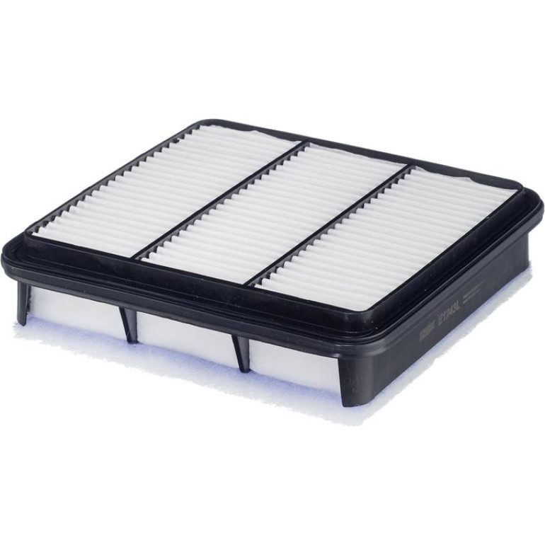 Luftfilter E1243L Luftfilter E1243L