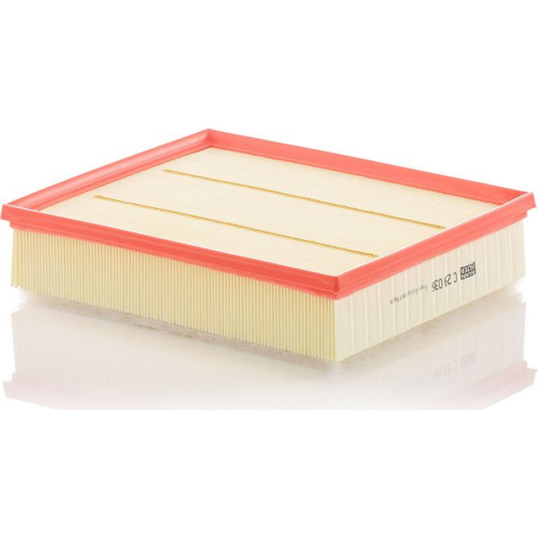 MANN-FILTER C 29 036 Luftfilter