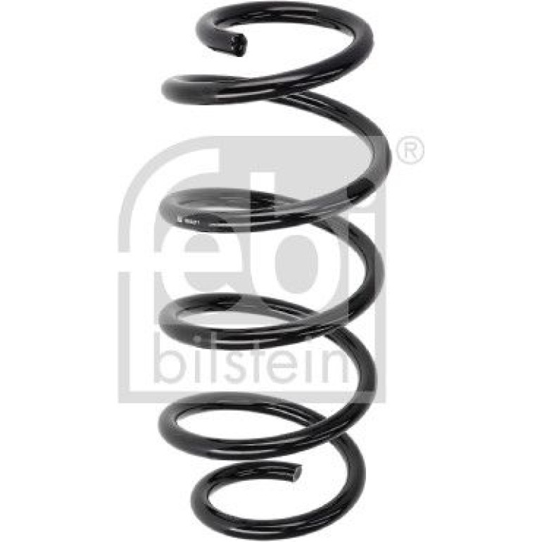 Fahrwerksfeder 1003211