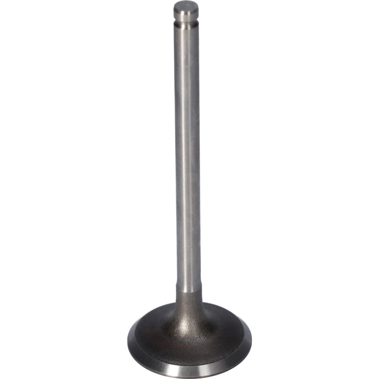 FEBI BILSTEIN 181650 Einlassventil