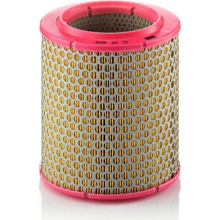MANN-FILTER C 17 129 Luftfilter