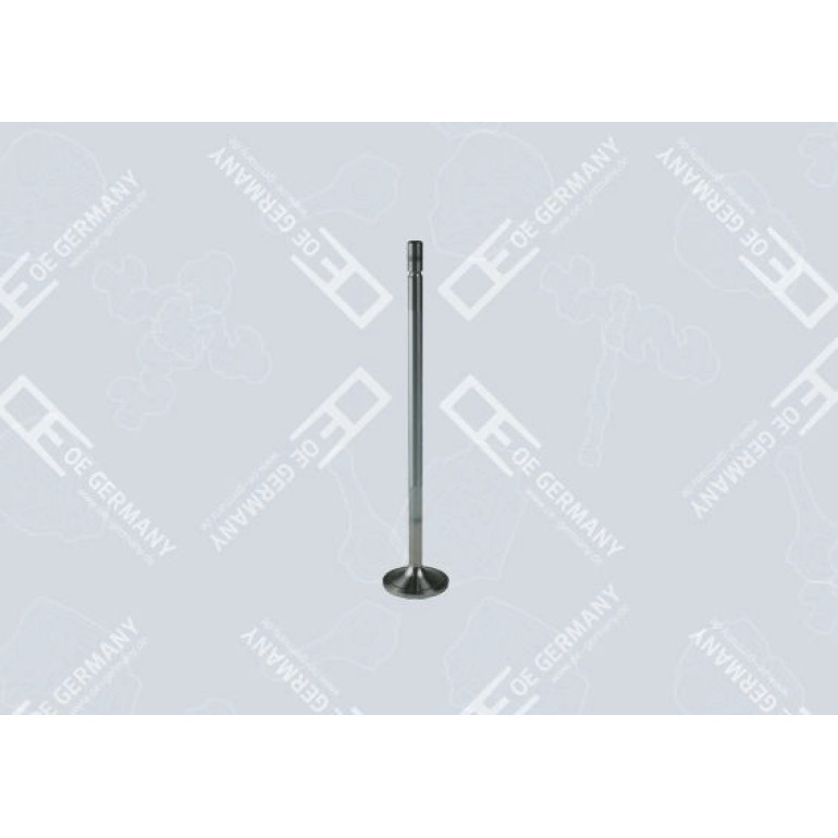 6x Einlassventil für Mercedes Benz OM 934 LA OM 936 LA 936 050 01 26 OEGERMANY
