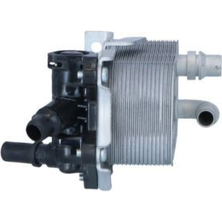 Ölkühler, Motoröl 31857