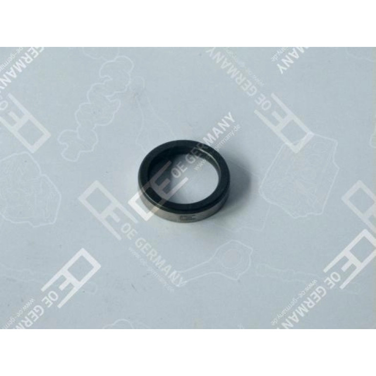 12x Ventilsitzring für Volvo D 12 A 3183 227 OEGERMANY 030123D12A00