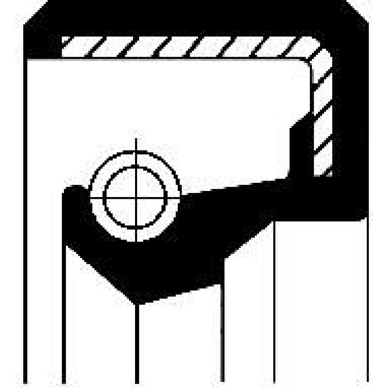 Dichtring 01019503B Dichtring 01019503B
