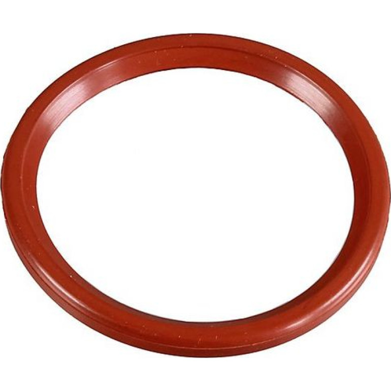 Dichtring 2430092