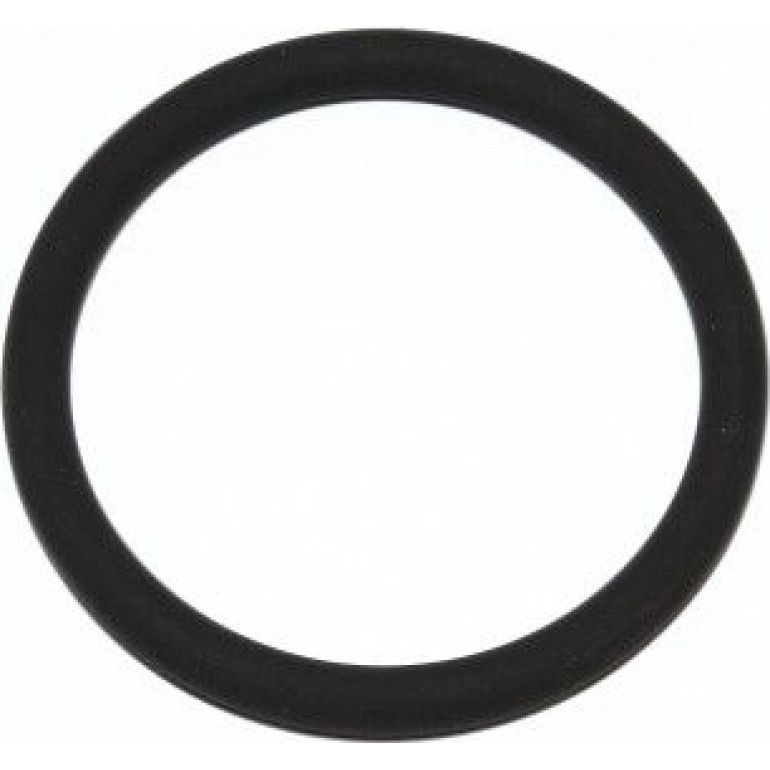 Dichtring 165.520 Dichtring 165.520