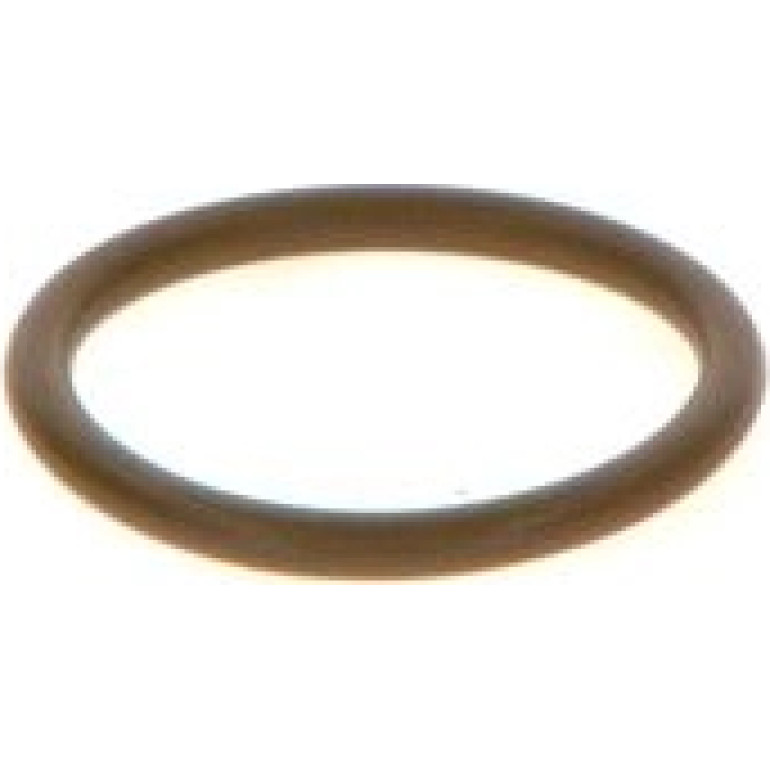 Dichtring F 00V C38 044