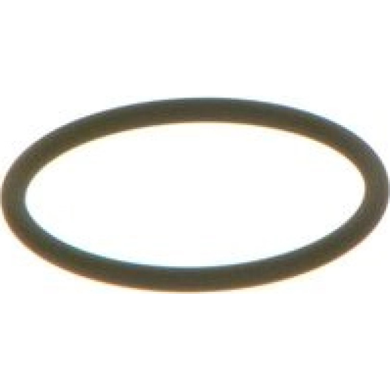 Dichtring F 00V C38 002 Dichtring F 00V C38 002