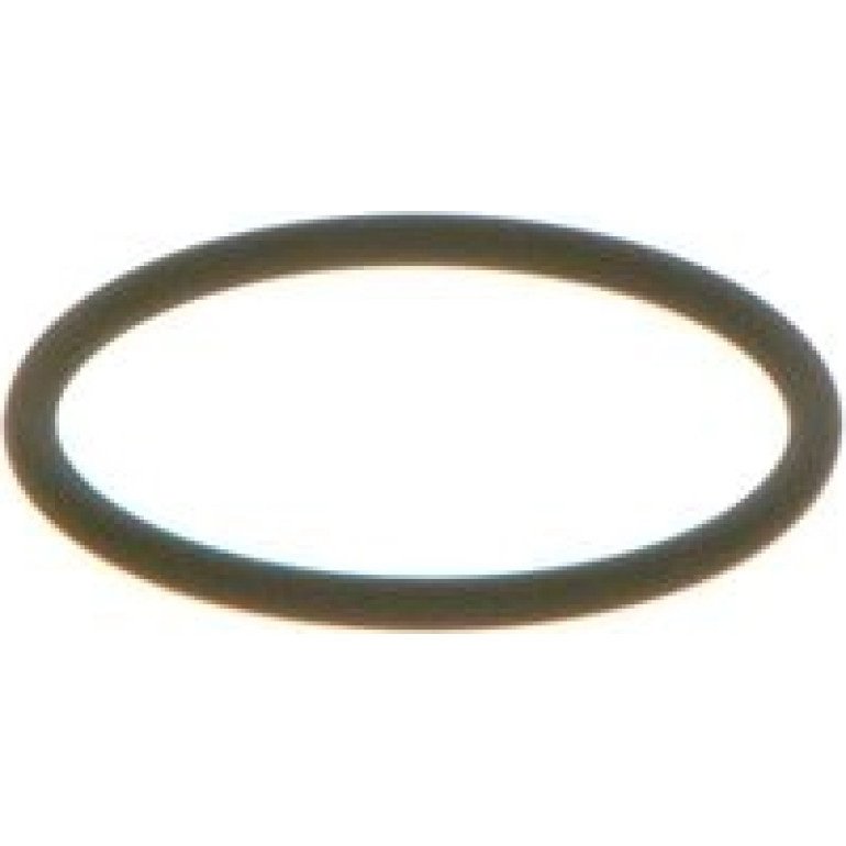 Dichtring F 00V C38 002 Dichtring F 00V C38 002